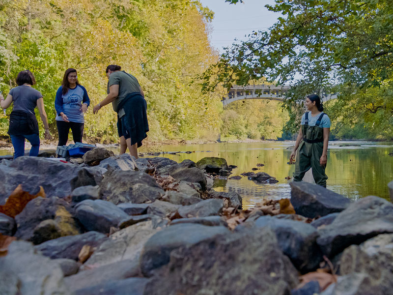 Students wearing waders clean up the Schuylkill River